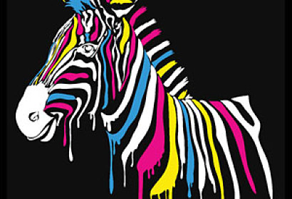Farebná Fototapeta - Zebra 4536